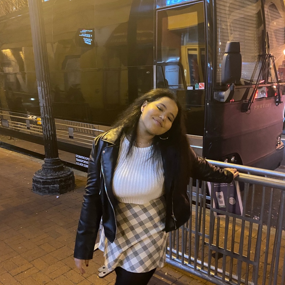 Princess Polly Cream and Black Plaid Skirt